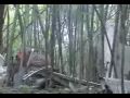 Lauda Air Crash Site - Thailand