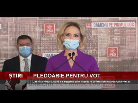 Candidatul PSD la Senat, Gabriela Firea, susține organizarea alegerilor