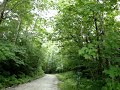 Driving Through: Chittenden, Vermont