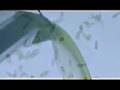 Algae Biofuels