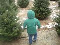 Evan and Sarah at the tree farm 11-30-08.AVI Evan and Sarah at the tree farm 11-30-08.AVI