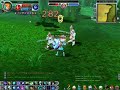 fiesta online: i am paladin