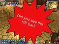 fiesta online: i am paladin