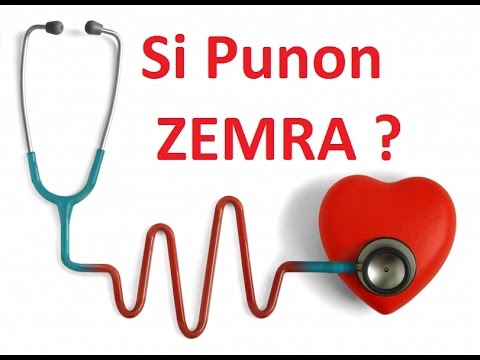 Puna e Zemrës