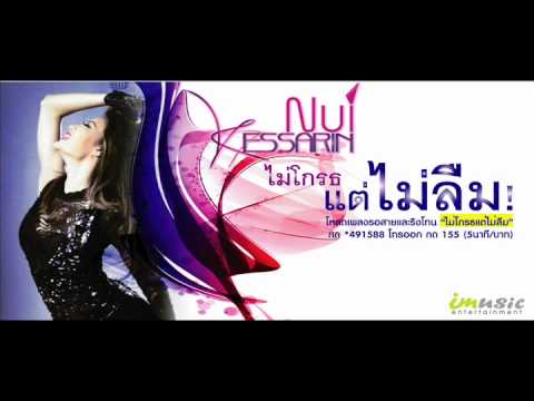ไม่โกรธแต่ไม่ลืม - นุ้ยเกศริน (Official Audio)