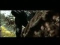 El señor de los Calorros- The Original