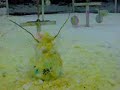 Snowman Death by paintballs Snowman Death by paintballs