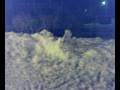 videos de 30112008121.mp4