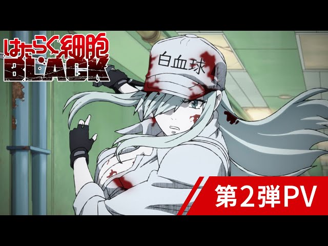 YouTube Player