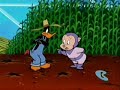 Duck Dodgers: Old McDodgers
