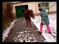 Crocket oder so ähnlich Crocket oder so ähnlich