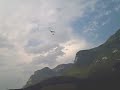 Crazy Wingdragon