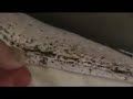 Red Roof Inn Bed Bug Infestation