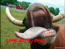 bullet-for-my-valentine-4-words-to-choke-upon-lyrics.html
