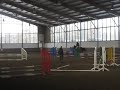 Springlehrgang,Landes Reit-und Fahrschule Langenfeld,Tibi