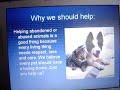 STOP ANIMAL ABUSE