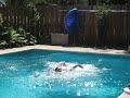 swimmming(;