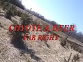 WILD DEER WATCH COYOTE EAT KILL-RARE FOOTAGE BOTH IN VIDEO