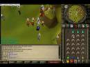 GRINASPL PK VID