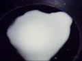 newtonian fluid cymatics experiment rmcybernetics