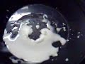 Cymatic Non Newtonian Fluid Experiement Cymatic Non Newtonian Fluid Experiement