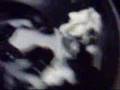 Cymatic Non Newtonian Fluid Experiement