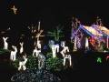 Christmas lights 08 in Spanaway