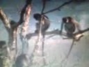 Funny punjabi monkey fuking