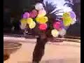Video from My Phone (sierra and the balloons.3g2)