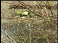 The worst of the flooding is behind Prichard residents The worst of the flooding is behind Prichard residents