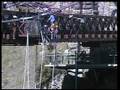Vini bungy