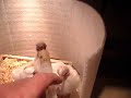 SDC10019.AVI