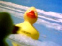 Badeendliefde Badeendliefde