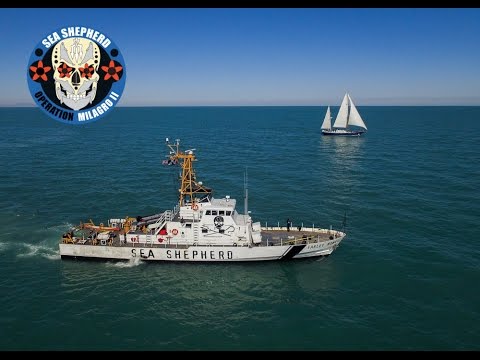 Milagro Summary - English