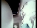 Dulcie In The Back of the Car in NEGATIVE WORLD!!!