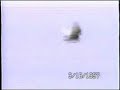 bird shot with arrow
