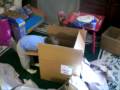 Christmas 2008 8