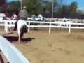 videos de Scooting for Treasure 9/6/08