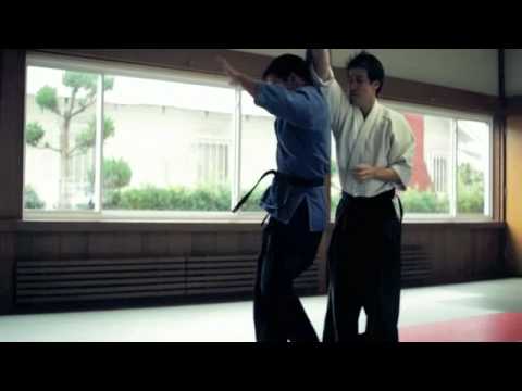 jujitsu and aikido