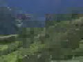 MOV01346