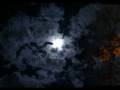 Lua Esquecida - Simplus