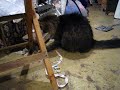 A Game of Cat and Mouse
