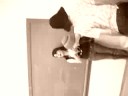 3� C - Dia do Mico (IV)