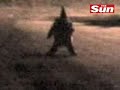 Gnome causes Terror in Argentina Gnome causes Terror in Argentina