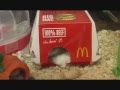 ハムスターのオープンハウス　Hamster　Open House