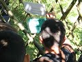 Schulklasse besucht Naturbauten Schulklasse besucht Naturbauten