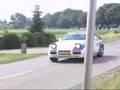 Porsche (2x) in Dutch Rallysport