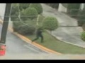 videos de balaceras de narcos vs militares
