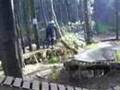 Chicksands (Chickshore & Jumps)
