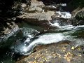 apia